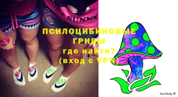 прущие крисы Краснотурьинск