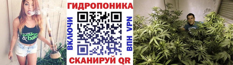Конопля OG Kush  Купить закладки  Колпашево 